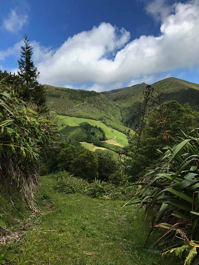 Lagoa de fogo's hike - São Miguel - Azores