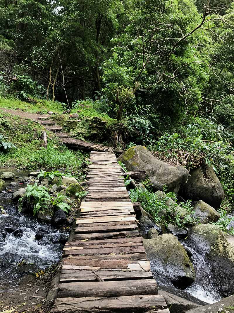 Faial de Terra's hike - São Miguel - Azores