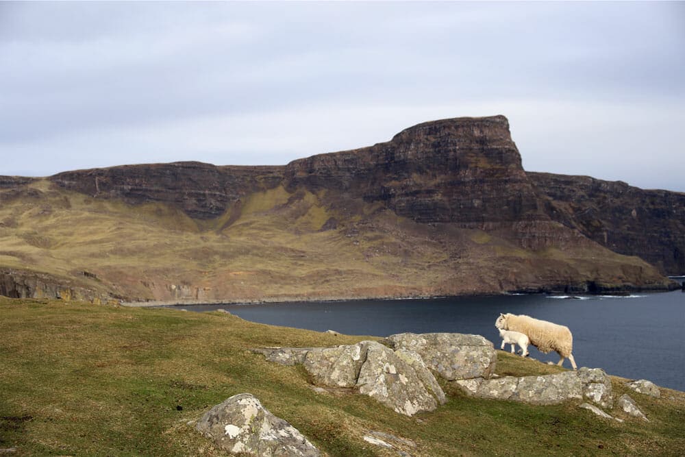 Neist Point - Isle of Skye