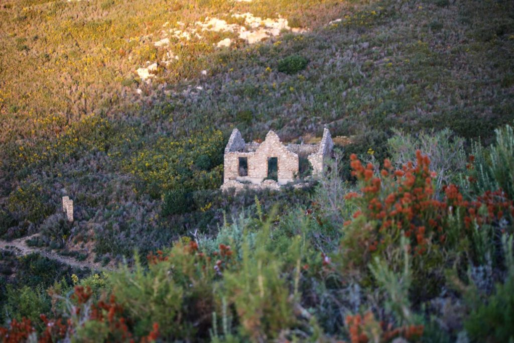 Parc des Bruyères - Marseille