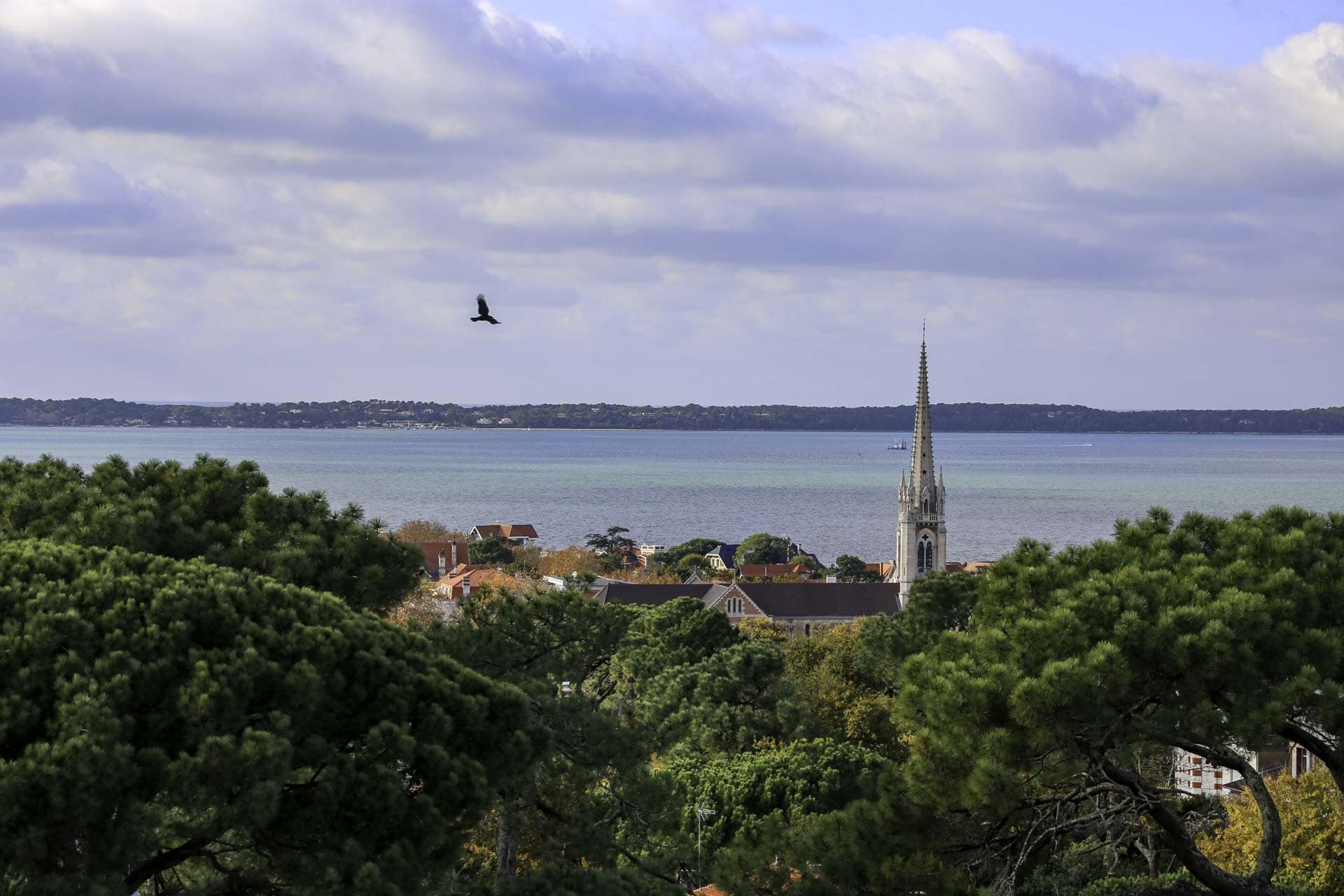 Gujan-Mestras: an escapade from port to port, on foot or by bike!